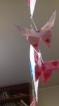 20180215_155625.jpg